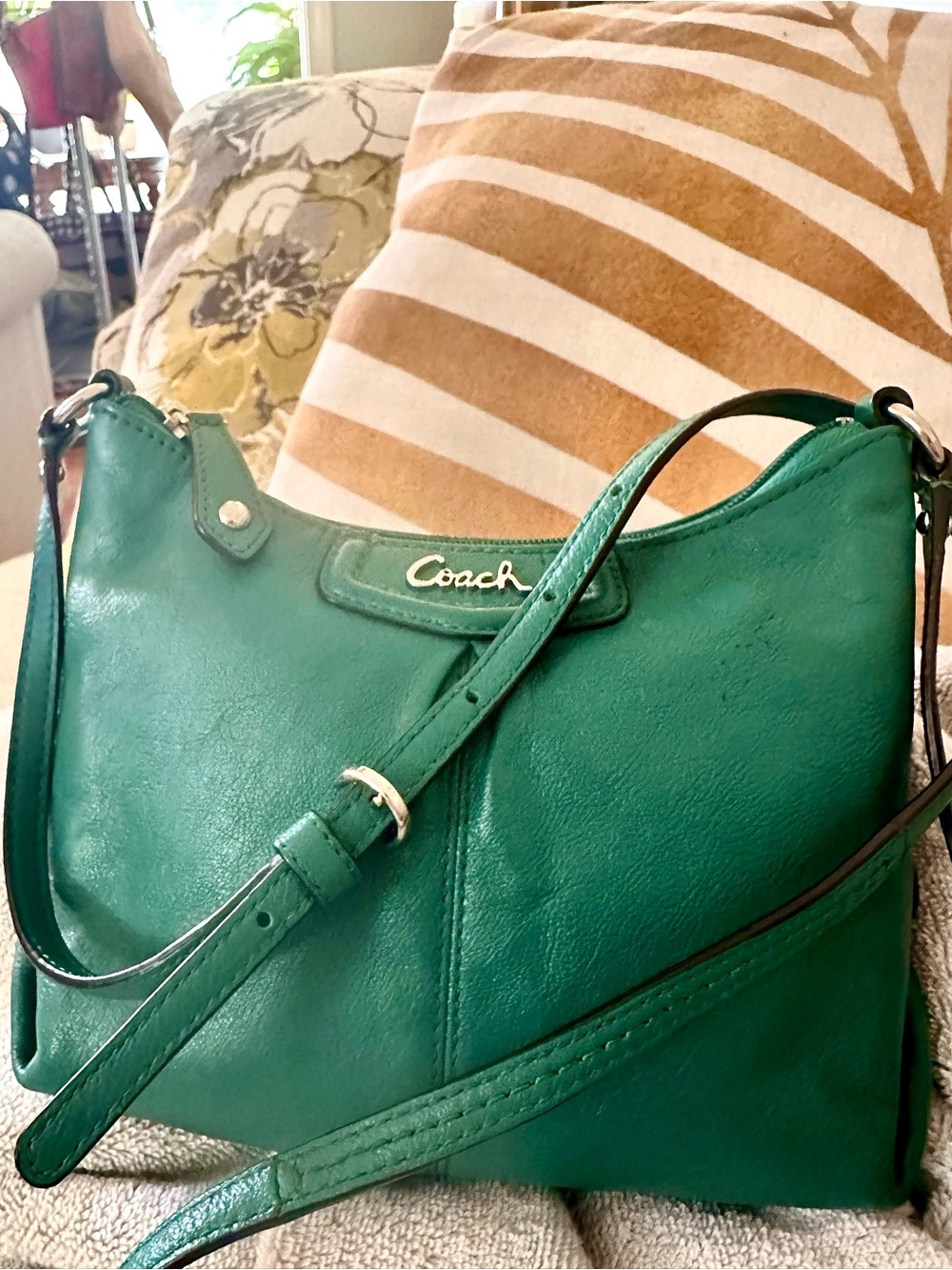 Coach Ashley Y2K Style Teal Leather Crossbody Bag Silver Hardware - Picture 3 of 14